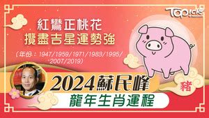 桃花人緣|2024年龍年布局｜蘇民峰教家居風水布局 趨旺財運桃 